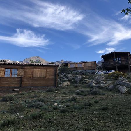 Les Chalets De Lozzi Calacuccia Eksteriør billede