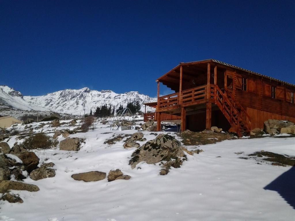 Les Chalets De Lozzi Calacuccia Eksteriør billede