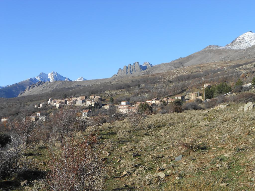 Les Chalets De Lozzi Calacuccia Eksteriør billede