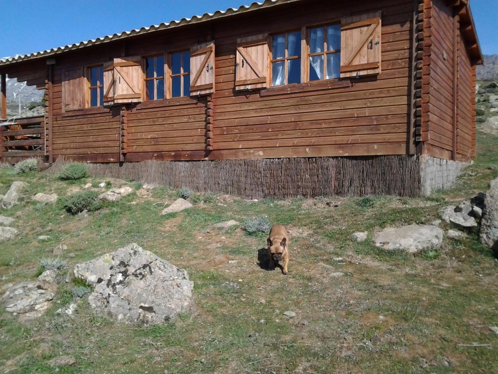 Les Chalets De Lozzi Calacuccia Eksteriør billede