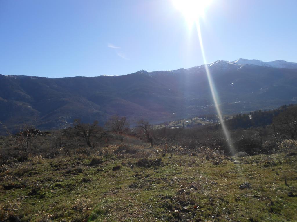 Les Chalets De Lozzi Calacuccia Eksteriør billede