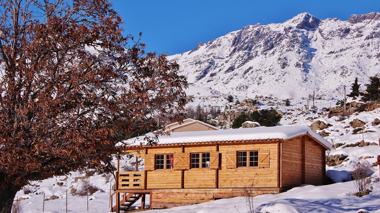 Les Chalets De Lozzi Calacuccia Eksteriør billede