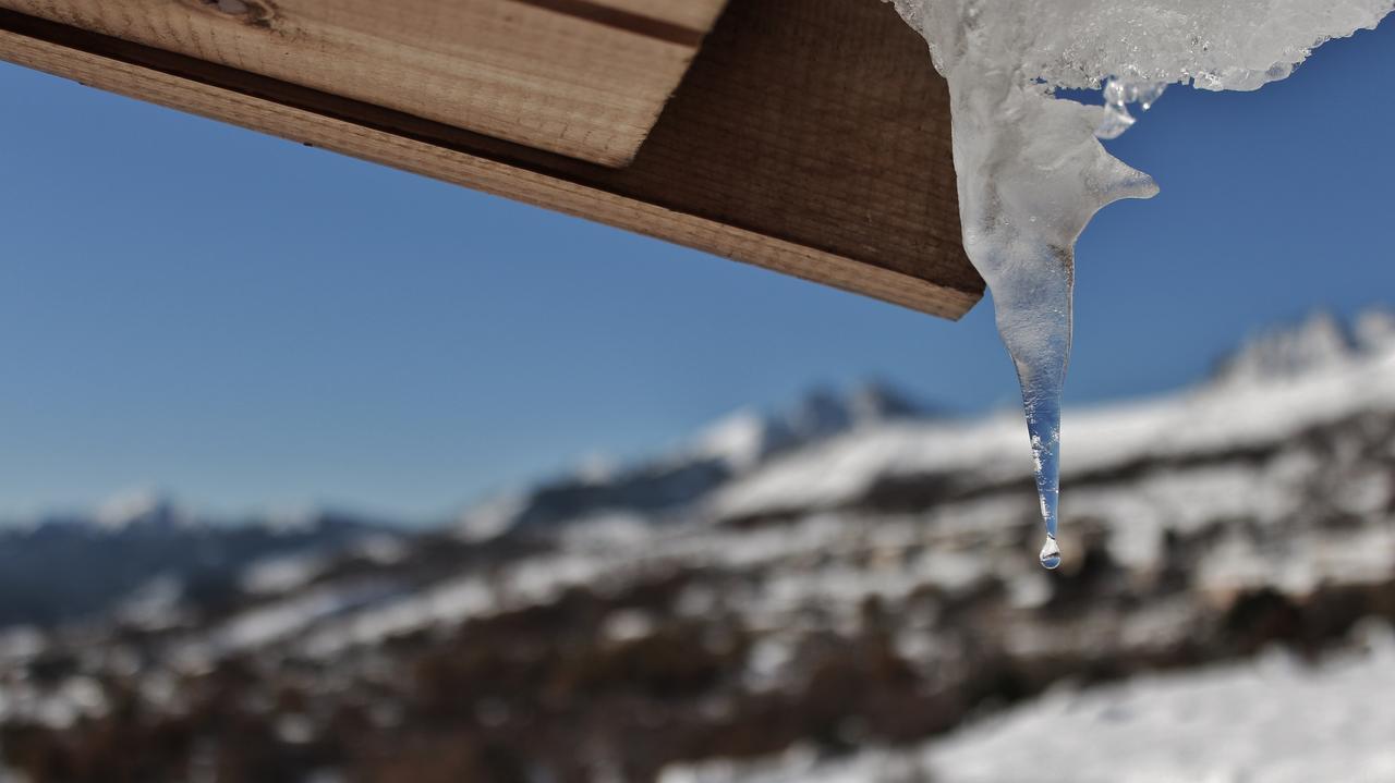 Les Chalets De Lozzi Calacuccia Eksteriør billede