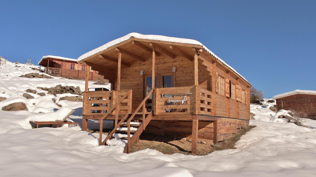 Les Chalets De Lozzi Calacuccia Eksteriør billede