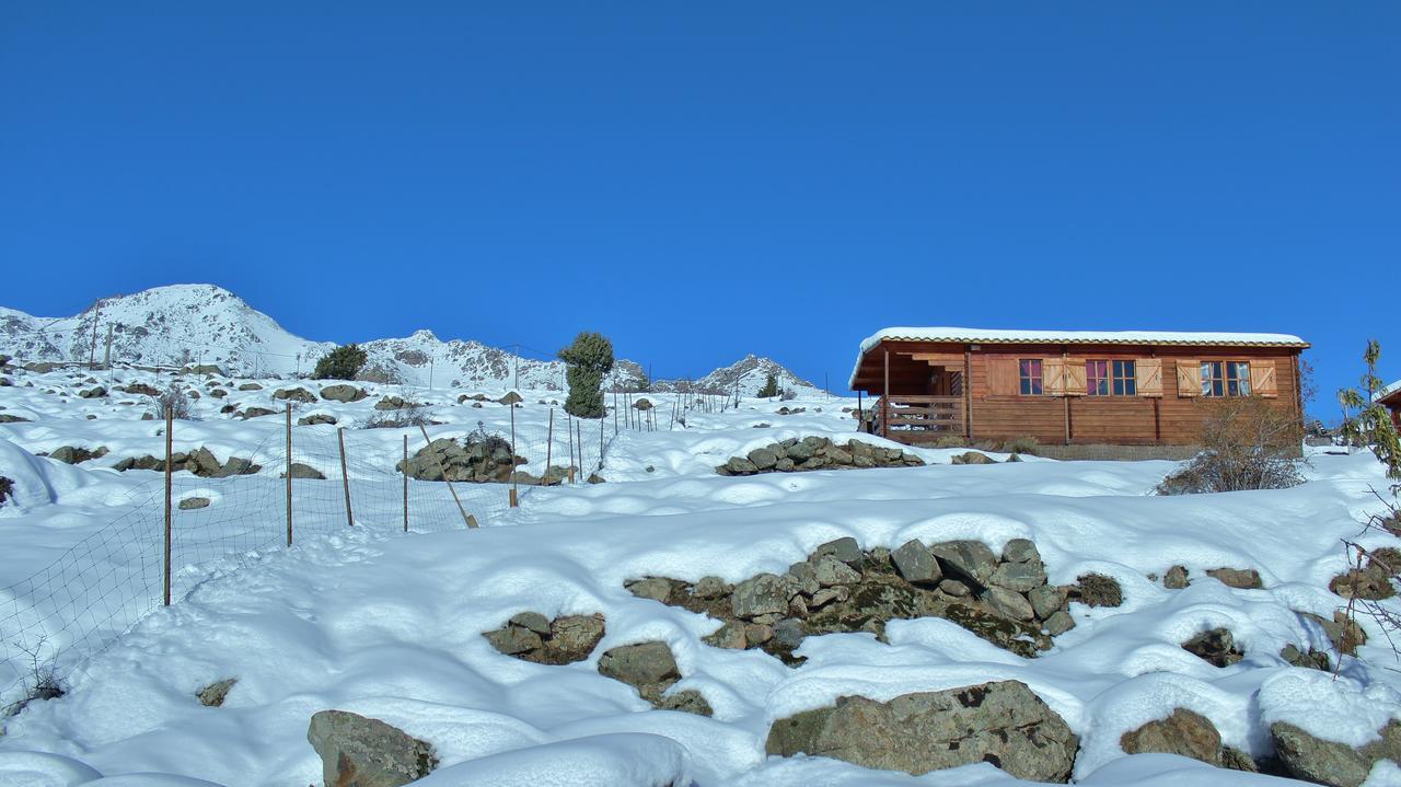 Les Chalets De Lozzi Calacuccia Eksteriør billede
