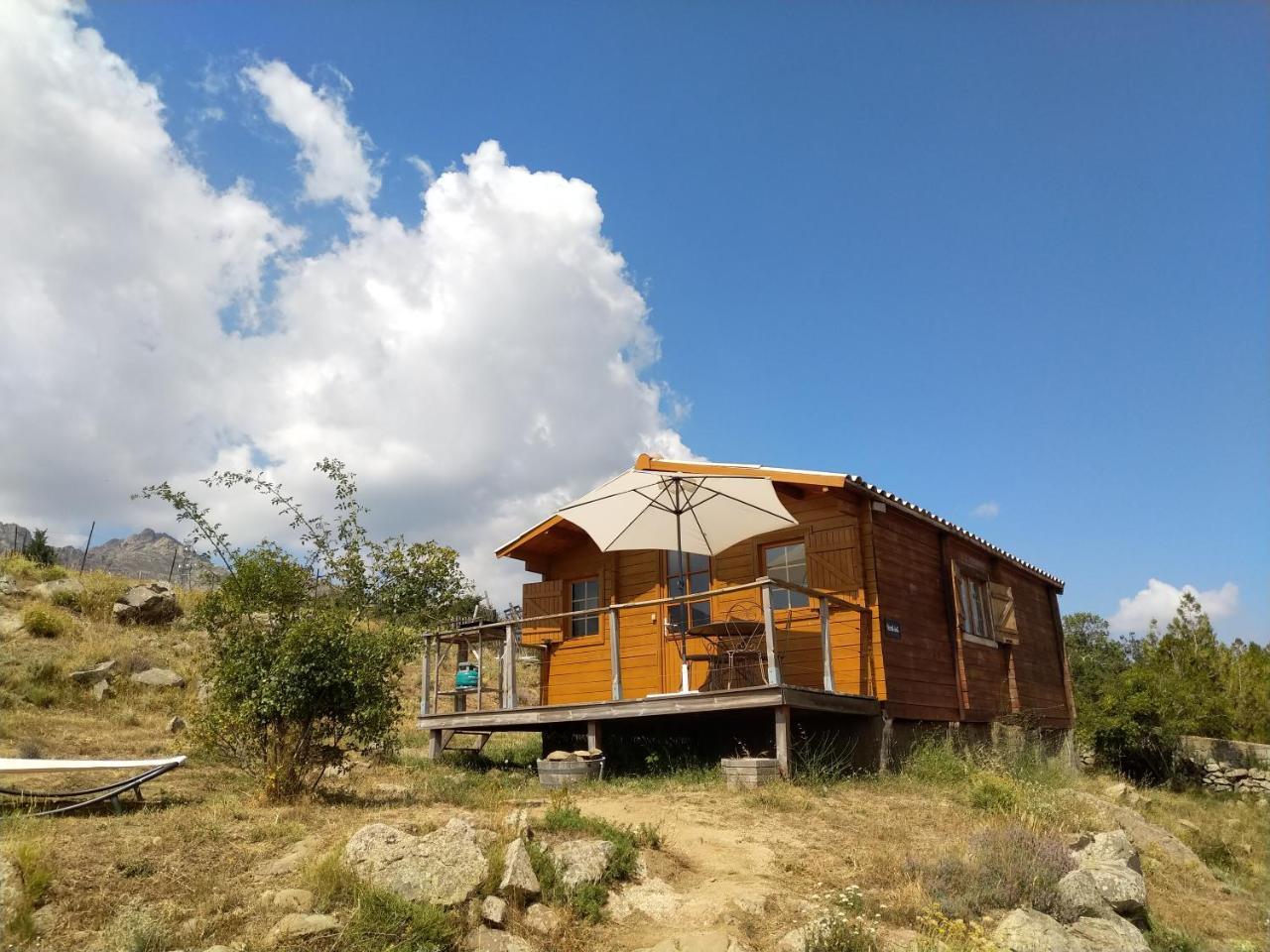 Les Chalets De Lozzi Calacuccia Eksteriør billede