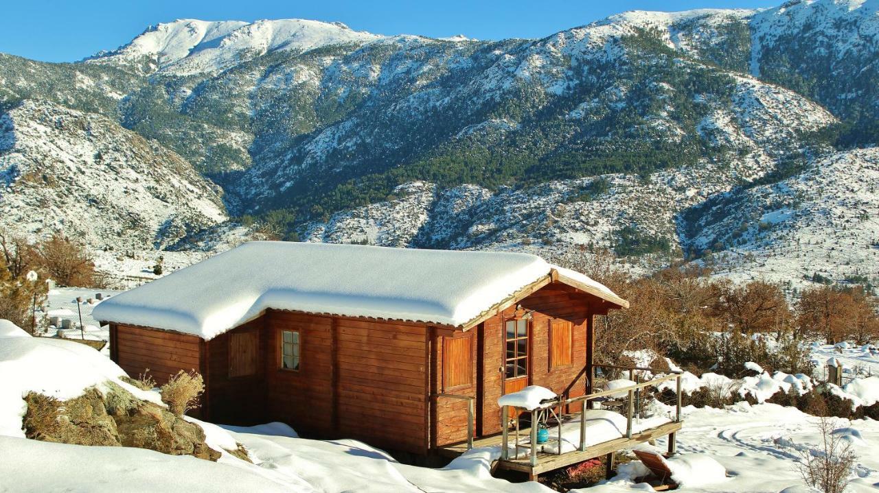 Les Chalets De Lozzi Calacuccia Eksteriør billede