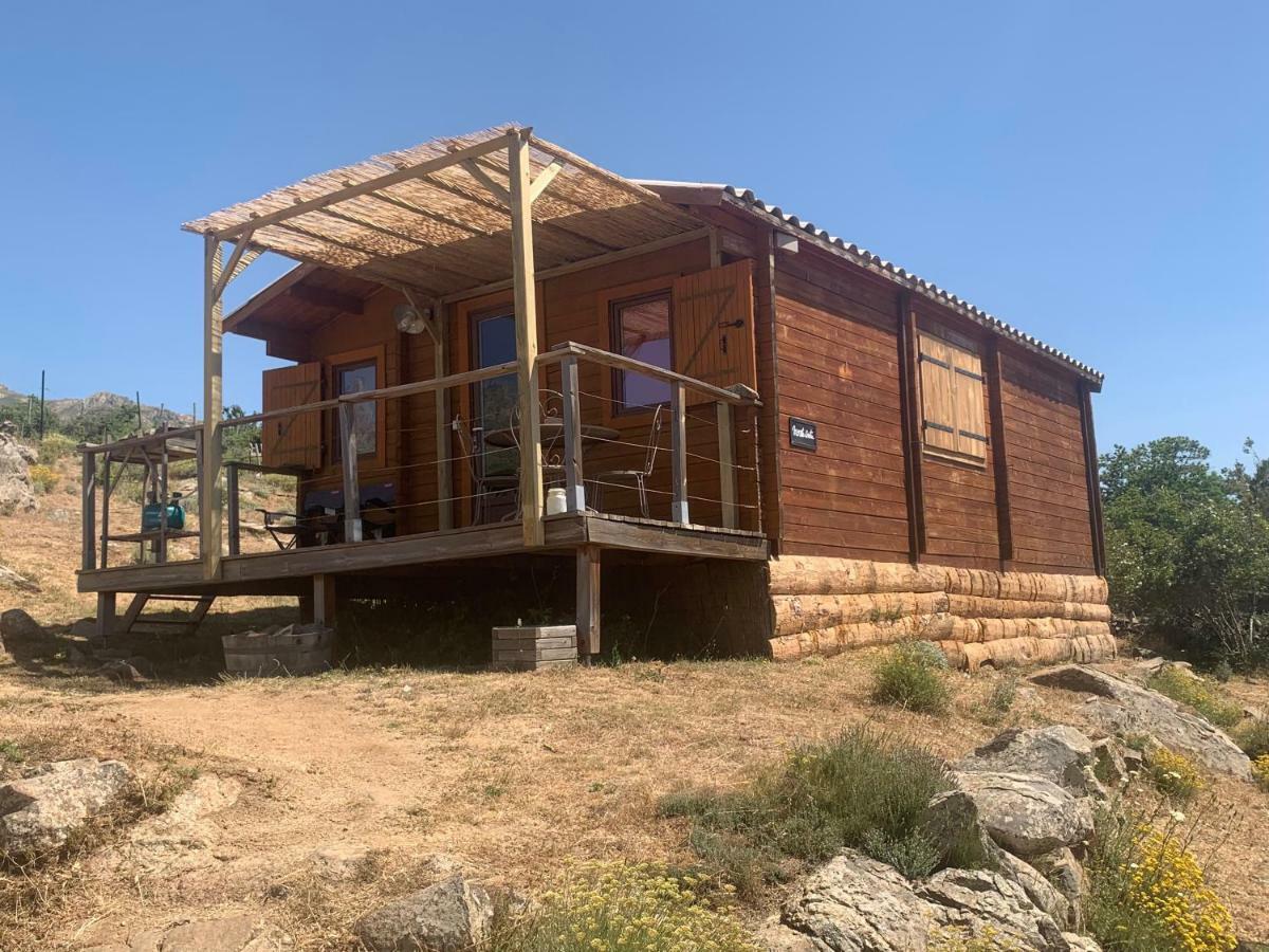 Les Chalets De Lozzi Calacuccia Eksteriør billede